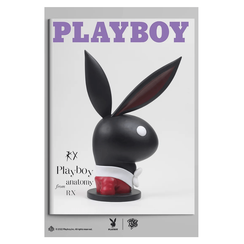 ZCWO x Playboy #1 Playboy Anatomy - CRA5Y SHOP