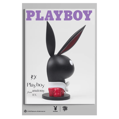 ZCWO x Playboy #1 Playboy Anatomy - CRA5Y SHOP